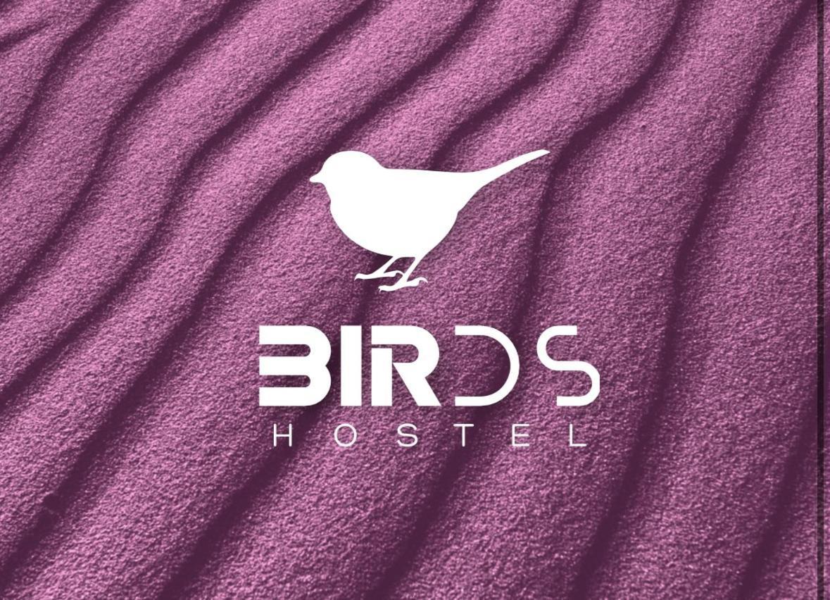 Birds Auberge de jeunesse *