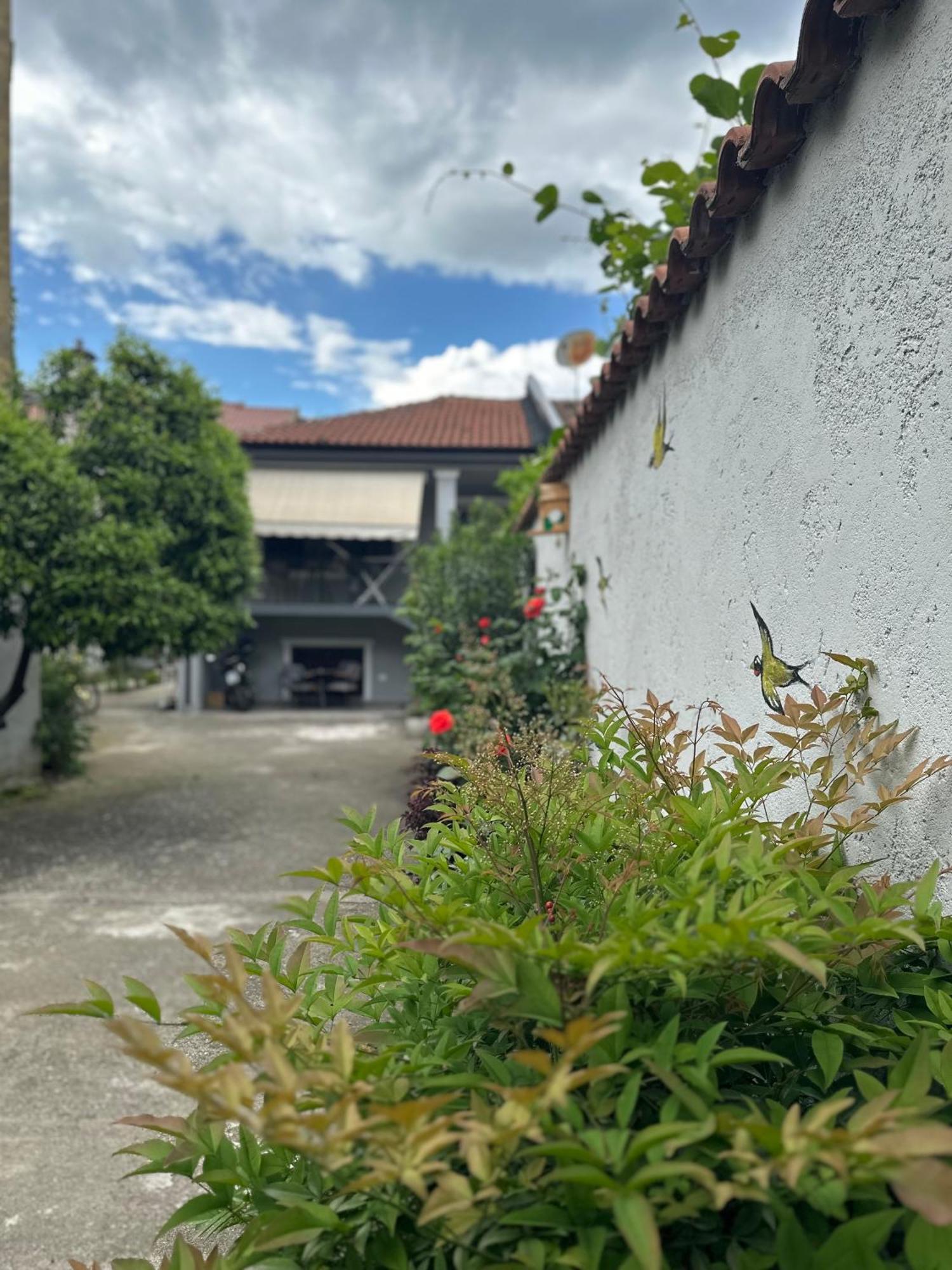 Auberge de jeunesse Birds